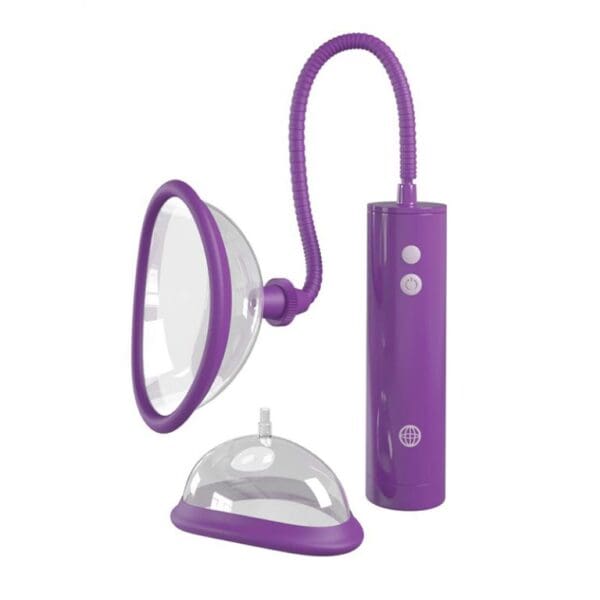 A purple device with a clear cover and a small object.