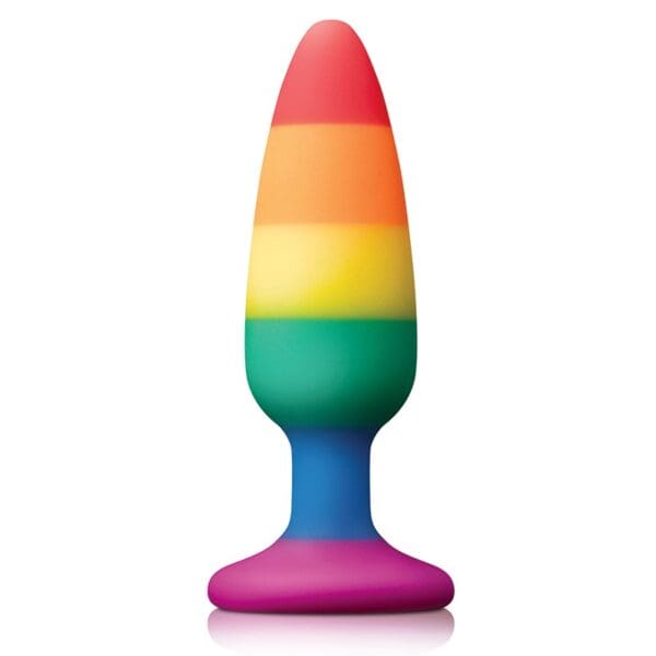 Rainbow silicone butt plug toy.