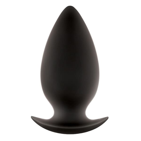 A black butt plug is shown in front of a white background.