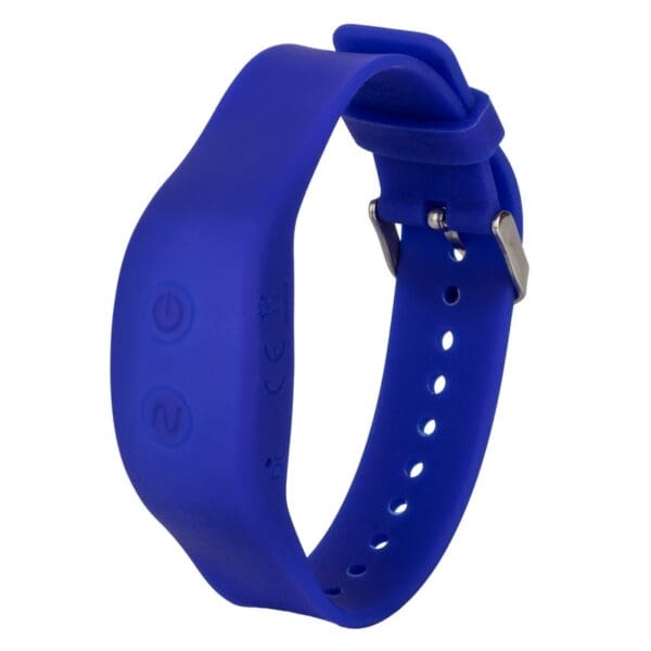 A blue wristband with a metal buckle.