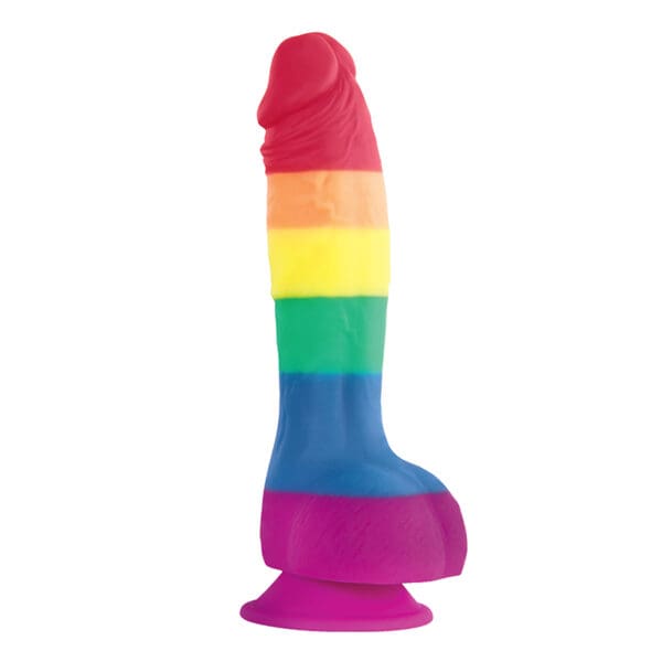 Rainbow colored silicone sex toy.